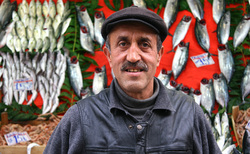 nb2_250x154_crop_478b24840a