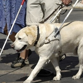 kakuv-e-zivota_280x280_crop_478b24840a