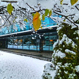 p1200486-copy_280x280_crop_478b24840a