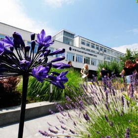 1899094-6014_280x280_crop_478b24840a