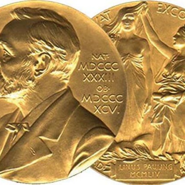 nobel_700x700_crop_478b24840a