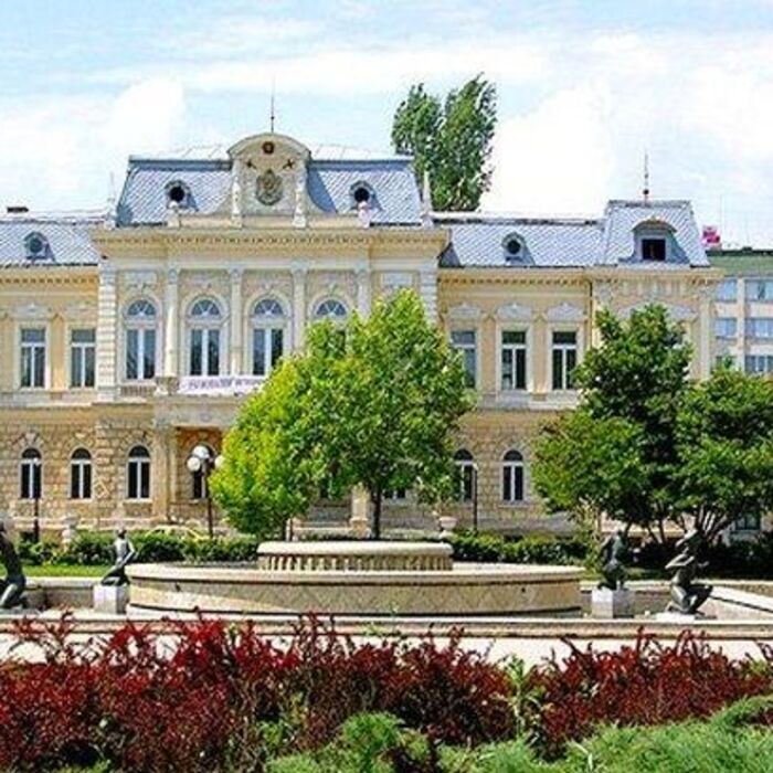 398f000f0d2cf5a71e0725f1d9adbfa8_700x700_crop_478b24840a