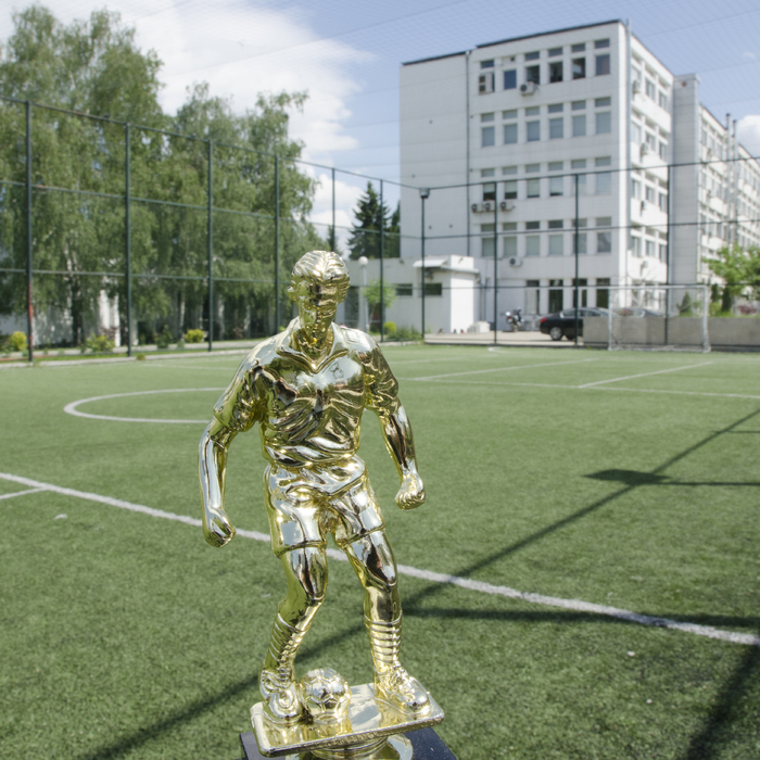 dsc-0050-copy_700x700_crop_478b24840a