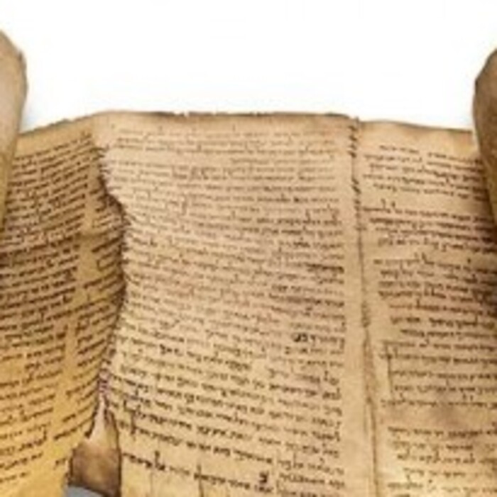 5170-large_700x700_crop_478b24840a