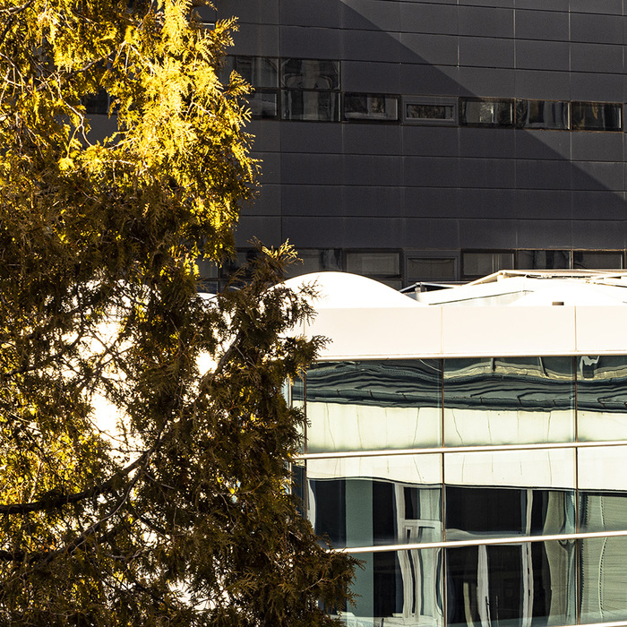 2488477-copy_700x700_crop_478b24840a